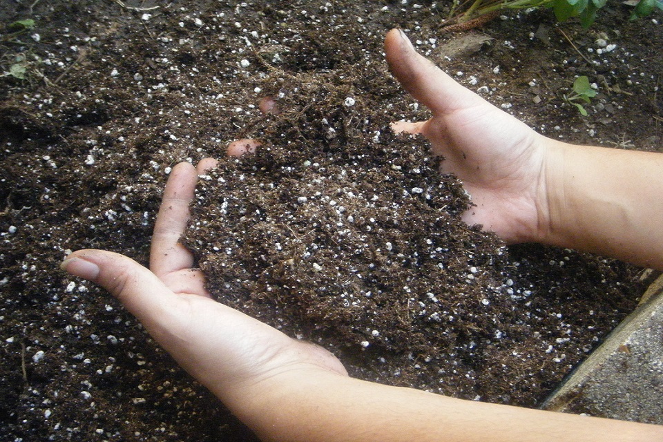 Carbon filtered soil